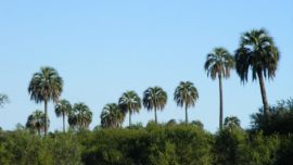 Contarà con una superficie de 150.000 hectáreas.