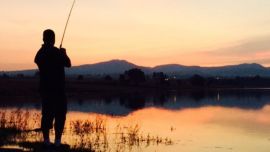 Relatos a cielo abierto: Espineles de la luna
