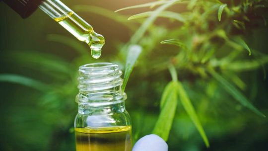 Savanna: el emprendimiento que enseña los beneficios del cannabis