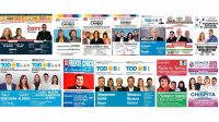 20210821_boletas_cedoc_g