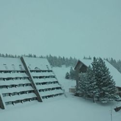 La semana pasada Las Leñas recbió una importante nevada y las autoridades municipales solicitaron abrir el centro del esquí a turistas y locales.