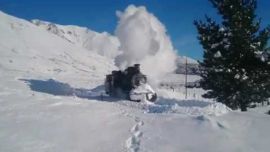 El Viejo Expreso Patagónico les regaló un espectáculo extra a los pasajeros.