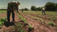 Trabajadores rurales de economías regionales