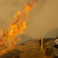 Las llamas se elevan cerca de un coche del Sheriff del Condado de Kern en la Ruta Estatal 155 durante el French Fire cerca de Wofford Heights, California. El French Fire, de 16.000 acres, comenzó el 18 de agosto y está contenido en un 19%. | Foto:David McNew / Getty Images / AFP