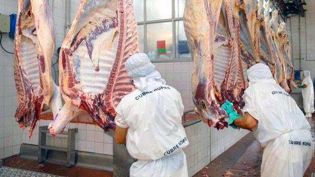 20210829_carne_carniceria_na_g
