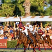 CRUZ, EL CENTENNIAL DE LOS HEGUY