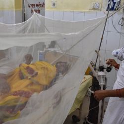 Un paciente recibe tratamiento en la sala de dengue de un hospital gubernamental en Allahabad. | Foto:Sanjay Kanojia / AFP