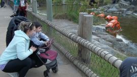 Las familias disfrutan cada espacio del Bioparque Temaikèn.