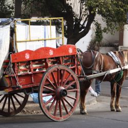 carrero