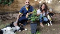 José Massabo y Paula Lescano visibilizan el uso terapéutico del cannabis en animales no humanos