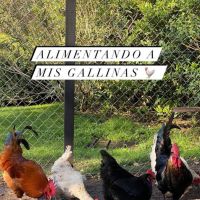 Juliana Awada publicó una tierna foto junto a Mauricio Macri