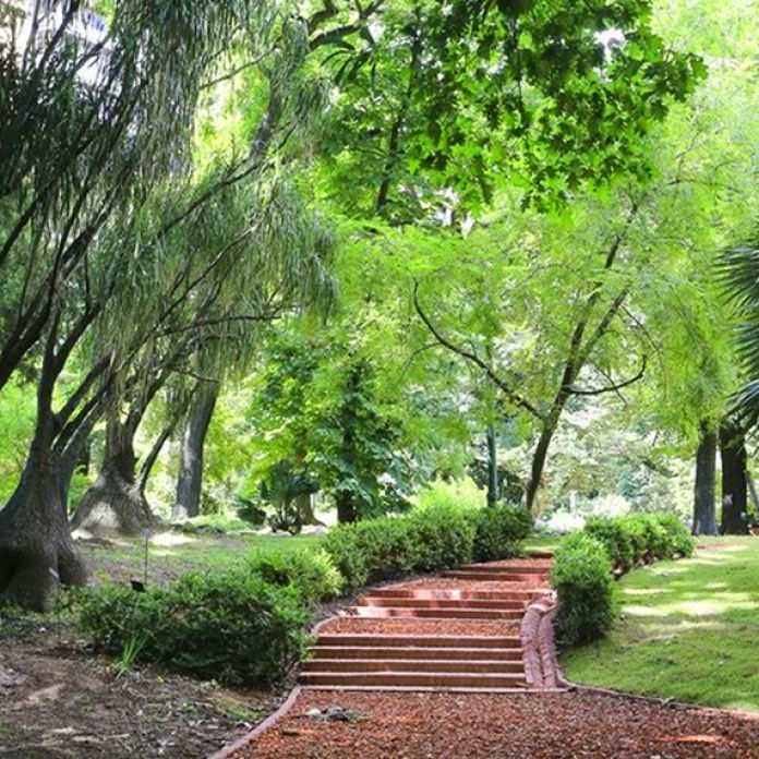 El estanque del Jardín Botánico de Buenos Aires - Historias en verde