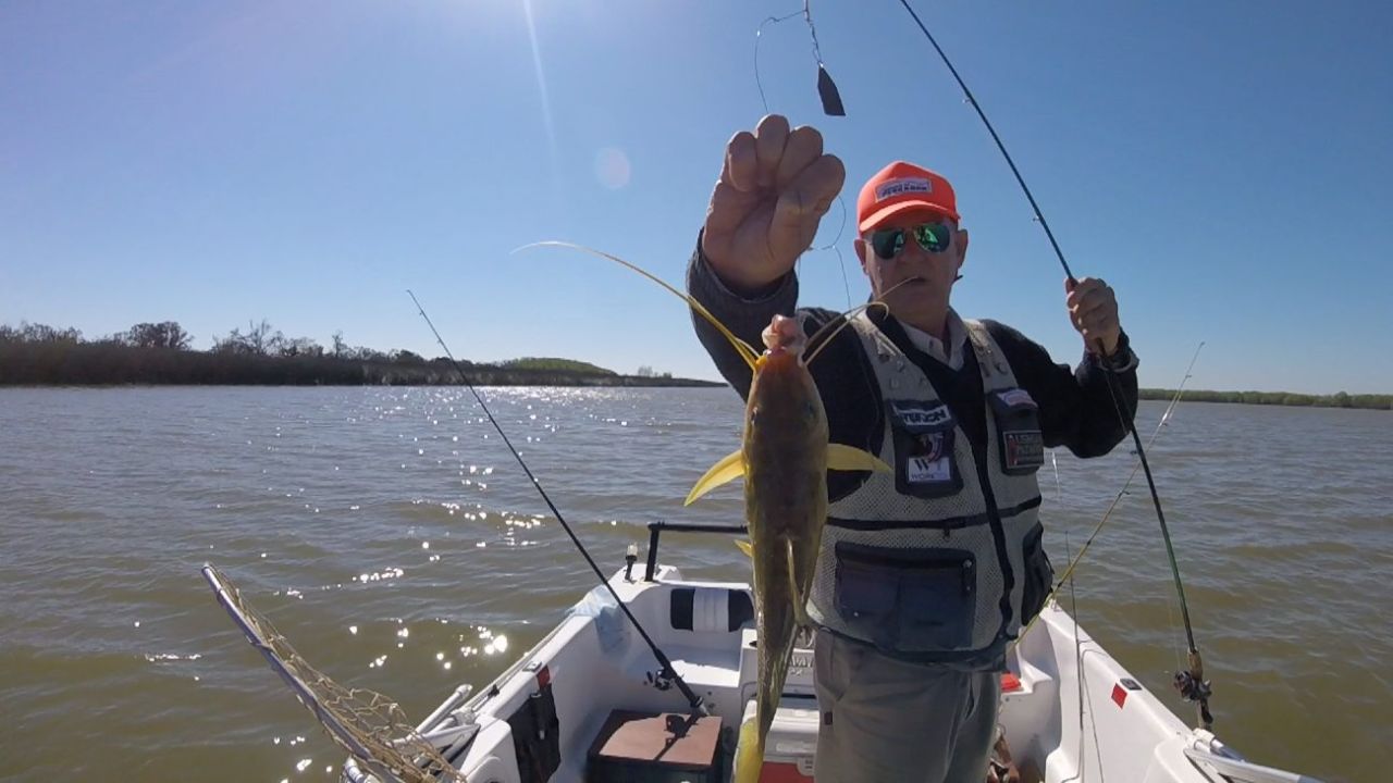 Comprar LANCE en EL PARANA PESCA