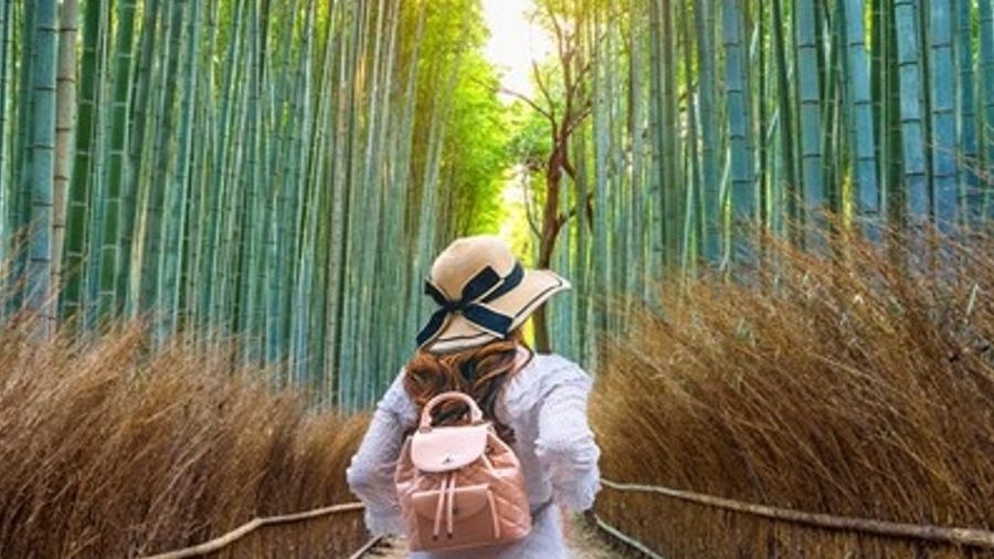 Las enseñanzas del bambú para el éxito