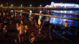 La actividad vuelve con propuestas muy interesantes.