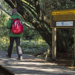 Lago Puelo es uno de los Parques Nacionales que participa de esta interesante propuesta.