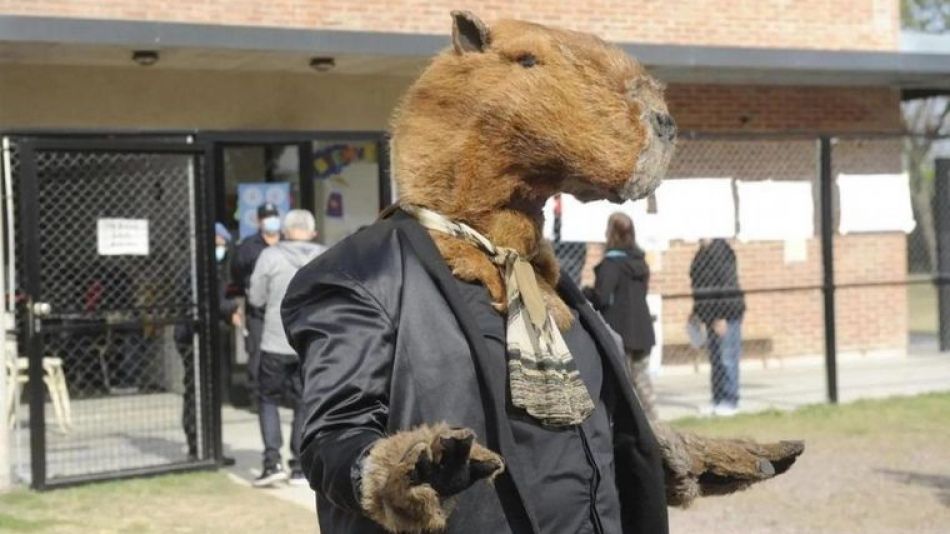 Hombre disfrazado de carpincho fue a votar en Nordelta
