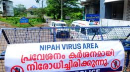 nipah kerala india