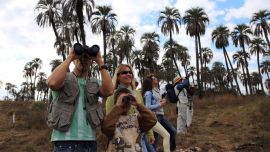 En las cercanías de la ciudad de Colón (Entre Ríos), el Parque Nacional El Palmar, propone una actividad que cada día atrae a más personas que buscan acercarse a la naturaleza.