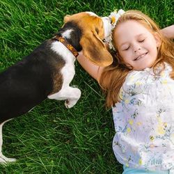 El Beagle es de los perros más juguetones del mundo.