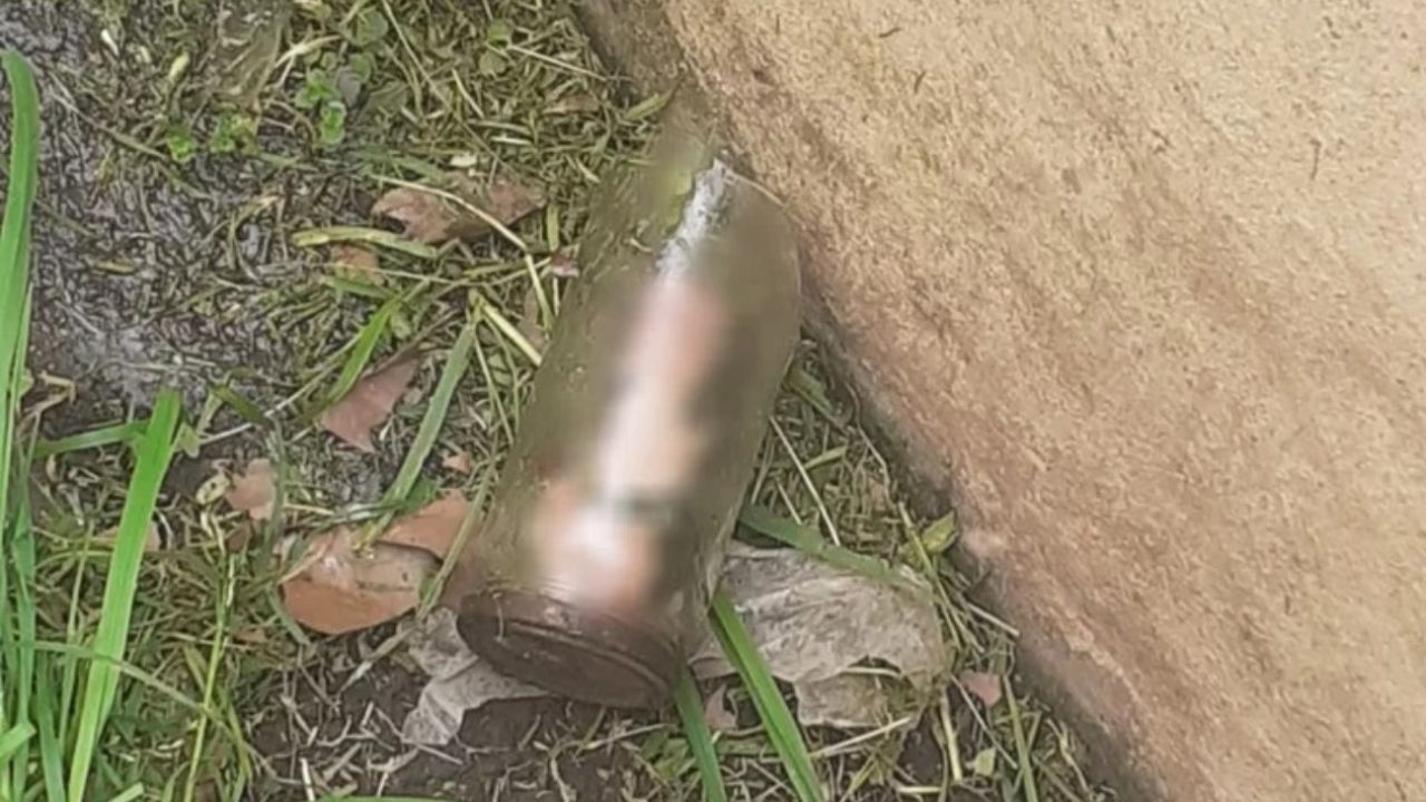 Foto. Encuentra un pene humano dentro de un frasco en su jardin