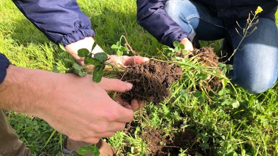 Agricultura regenerativa