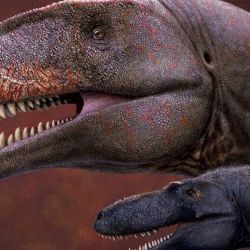 El dinosaurio hallado es el doble de largo y más de cinco veces más pesado que el tiranosaurio.