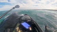 Salió a pescar en kayak y terminó montado sobre el lomo de una ballena