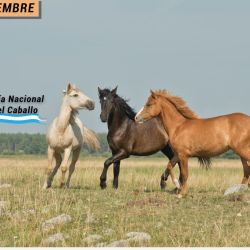 Desde 1999, cada 20 de septiembre el caballo argentino tiene su merecido homenaje.