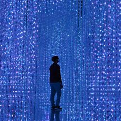 Un visitante observa una instalación titulada CrystalUniverse de teamLab, que se exhibe en el ArtScienceMuseum, en Singapur. | Foto:AFP