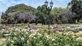 La primavera es una de las estaciones del año más esperadas.
