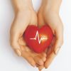El corazón humano es del tamaño de un puño, pero es el músculo más fuerte del cuerpo. Late alrededor de 100.000 veces y bombea hasta 7.500 litros de sangre todos los días