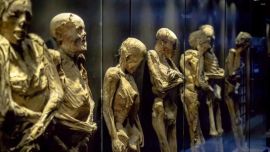 El lugar contará con un centro comercial y salas de exposiciones.