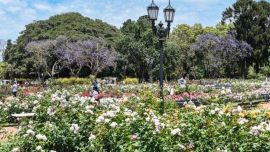 La primavera es una de las estaciones del año más esperadas.