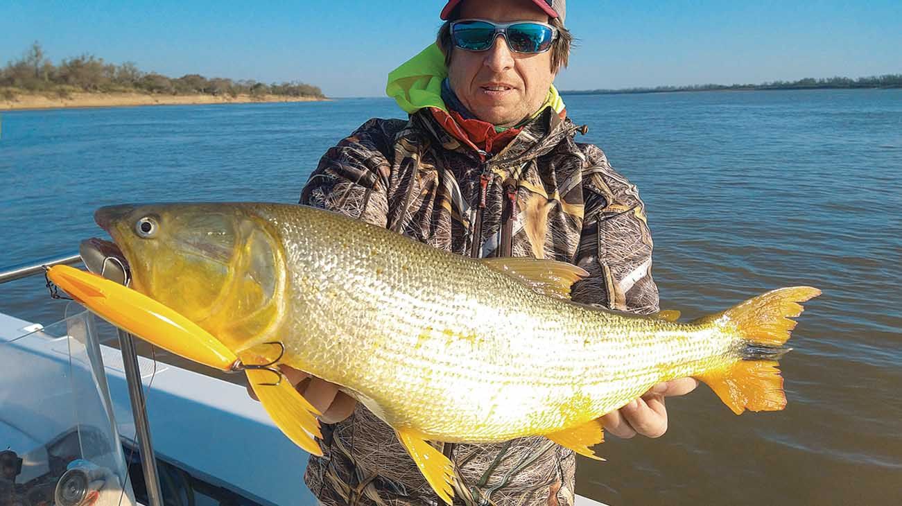 Las mejores ofertas en Rio Sedal Pesca Amarillo líneas y líderes de pesca