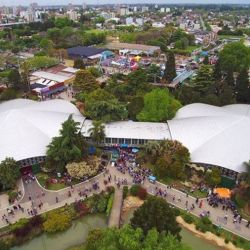 La exposición vuelve a contar con la presencia del pùblico.