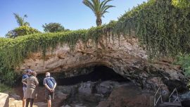 Las herramientas fueron confeccionadas a partir de huesos de animales.