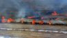 Bosques incendiados