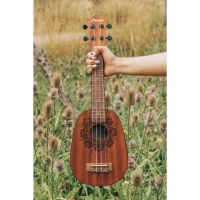 Bamboo Música