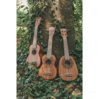 Bamboo Música