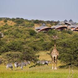 Mahali Mzuri es el espectacular glamping africano que fue votado como el mejor safari lodge y el mejor hotel del mundo 