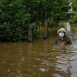 Una residente vadea las aguas de la inundación fuera de su casa en un barrio de la provincia central tailandesa de Ayutthaya, cuando la tormenta tropical Dianmu provocó inundaciones en 30 provincias del país. | Foto:Lillian Suwanrumpha / AFP