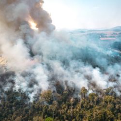 Wildfires in Brazil have consumed farms, destroying lands of one of the world’s largest agricultural producers.