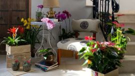 Oasis urbanos, la nueva tendencia deco