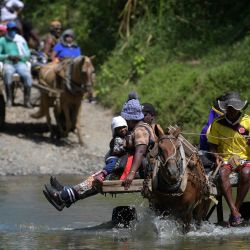 Migrantes haitianos cruzan el río en carros tirados por caballos antes de dirigirse a la frontera con Panamá en Acandí, Colombia. | Foto:Raúl Arboleda / AFP