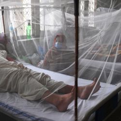 Familiares sentados junto a pacientes con dengue que descansan bajo un mosquitero en un hospital de Lahore. | Foto:Arif Ali / AFP
