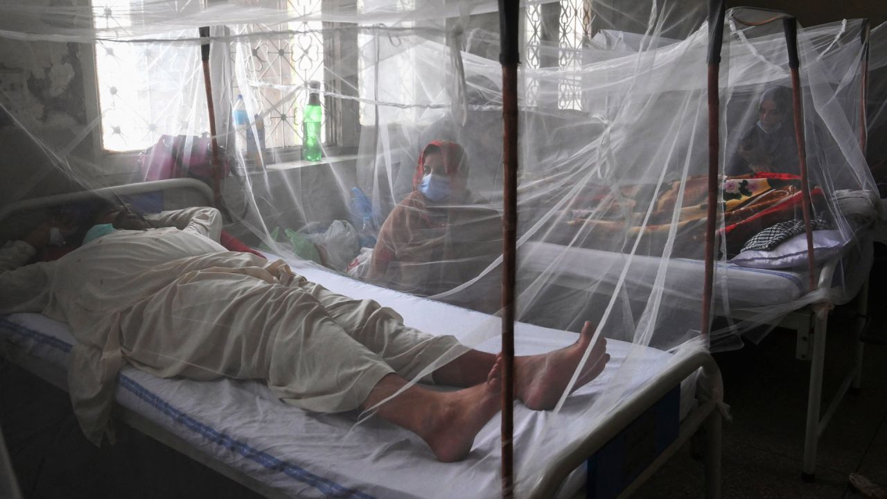 Familiares sentados junto a pacientes con dengue que descansan bajo un mosquitero en un hospital de Lahore. | Foto:Arif Ali / AFP