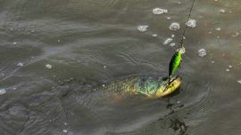 Ya en la adolescencia llegaron las posibilidades de algunas excursiones.