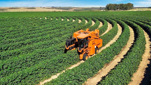20211003_campo_agro_cedoc_g