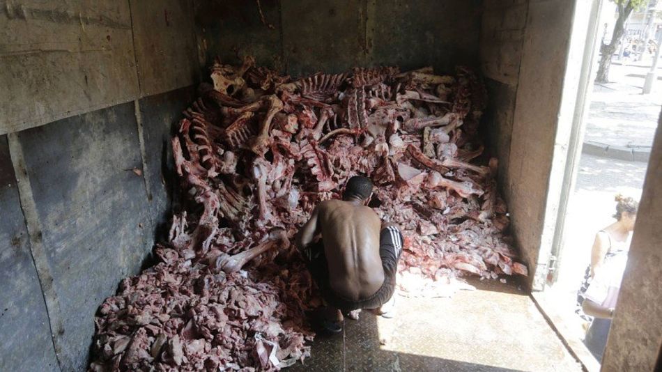 brasil hambre